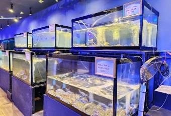 King Seafood​張用戶圖片