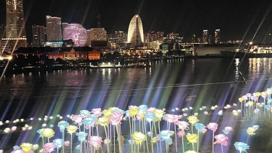 横浜大桟橋はみなとみらいの景色を一番綺麗に見渡せる場所だと思