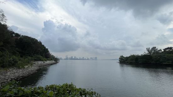 Exploring the Sungei Buloh Wet