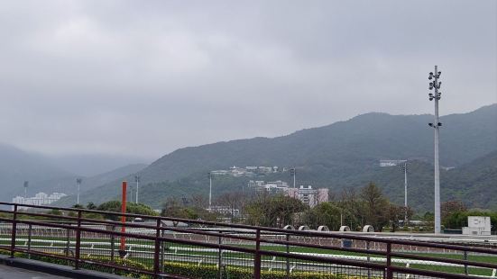 舉世聞名的香港沙田馬場，由東鐵炭站跟著人潮，步行約二十分鐘！