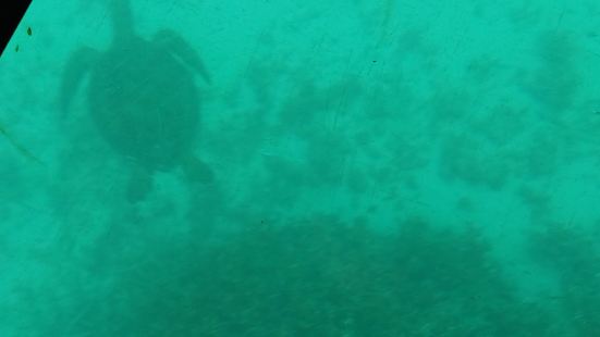 私が訪れた時はお天気が優れず曇り空。しかし、川平湾の海の色は