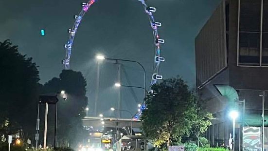 Diameter: Singapore Flyer is 1