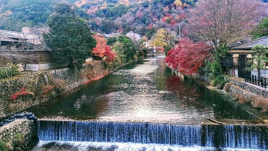 嵐山除了渡月橋，強烈推薦大家前往嵐山公園，紅葉季的話可以前往