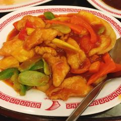 China Town Scala Shark Fins User Photo