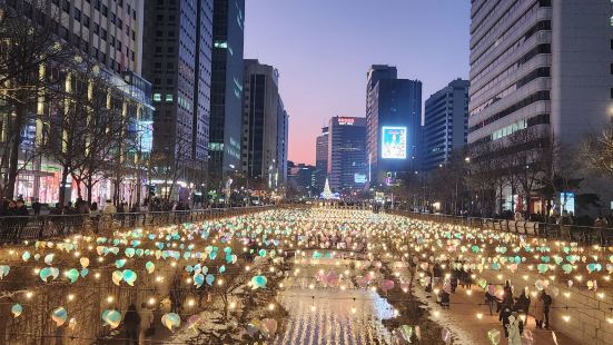 요즘 빛 축제 하고 있어서 보기 더 좋아요 동대문 종로