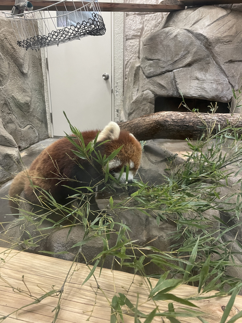 天王寺動物園用戶評價