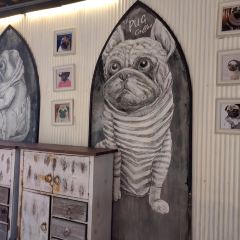 The Pug Coffee User Photo