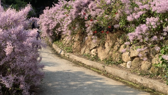 review picture
