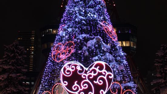 大通公園是札幌市的地標之一，每年大概12月左右都會有聖誕市集