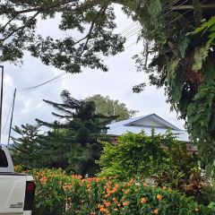 Sabah Tea House ảnh của người dùng
