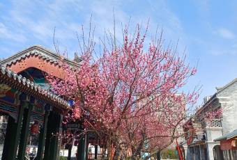 華春餐館（魚山路店）張用戶圖片