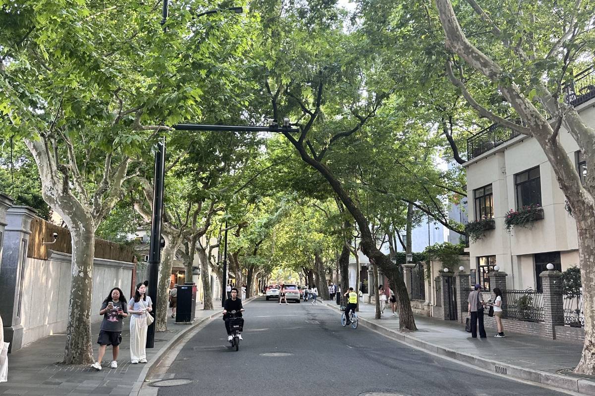 1️⃣4️⃣ French Concession – Tempat wisata di Shanghai