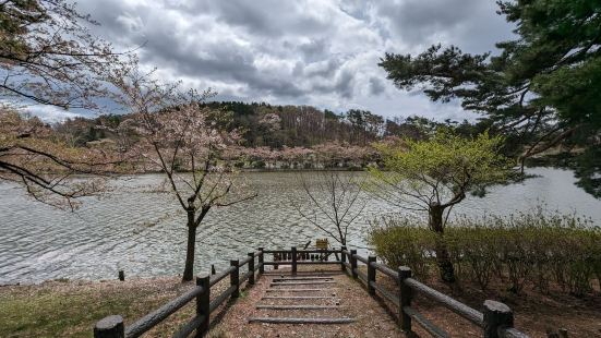 Takematsu Park in Sakura seaso