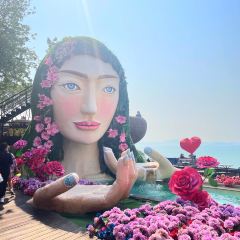 3 Mermaids張用戶圖片