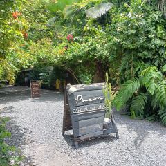 PREM CAFE IN THE GARDEN User Photo