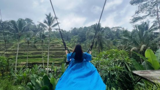 Swing is Ubud is always on lis