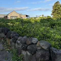 South Bounder Brewery User Photo
