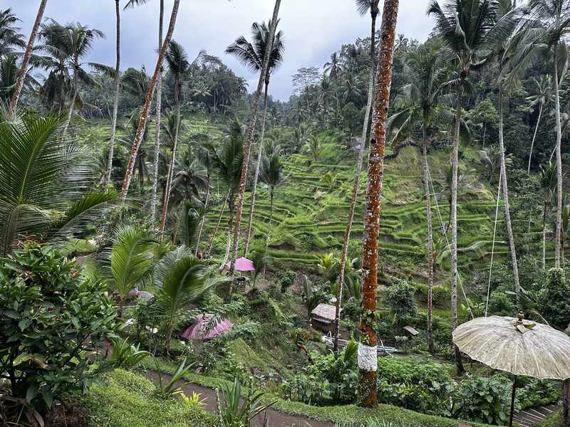 德格拉朗梯田用戶評價