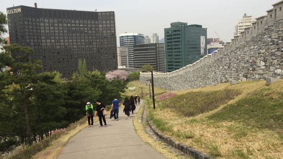 誤打誤撞來到櫻花季節的首爾，南山公園雖然是很在地的民眾公園，