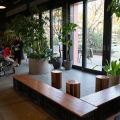 Little Darling Coffee Roasters User Photo