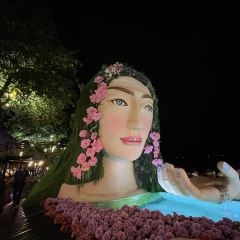 3 Mermaids張用戶圖片