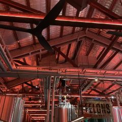 Felons Brewing Co User Photo