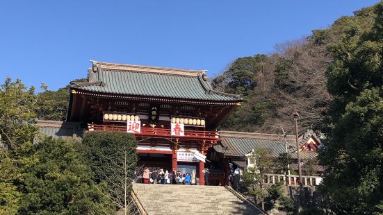 鶴岡八幡宮 - 位於東京近郊鎌倉市，是一座歷史悠久的神社，每