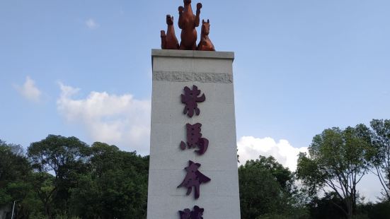 從香港坐跨境直通巴士到盛景尚峰，發現對面有這個倘大的公園，園