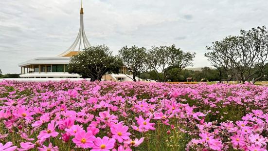 สวนสาธารณะขนาดใหญ่สำหรับคนย่าน