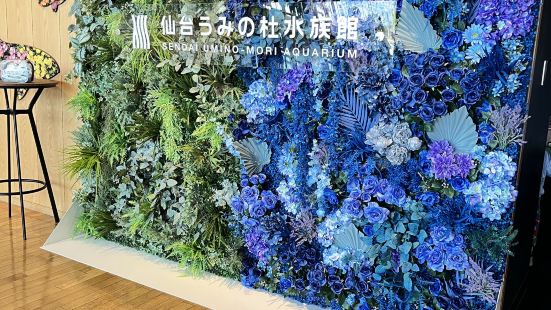 仙台旅行🚄仙台うみの杜水族館、ちいかわとのコラボがかわいい