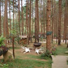 Rừng Thông Mơ Farm & Bistro User Photo