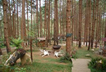 Rừng Thông Mơ Farm & Bistro User Photo