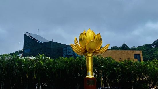 The lotus flower in full bloom