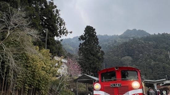 來阿里山怎麼可以錯過奮起湖？來這裡吃著奮起湖鐵路便當🍱，再