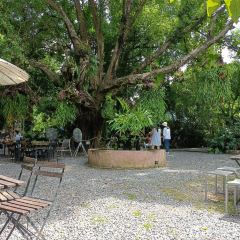 PREM CAFE IN THE GARDEN User Photo