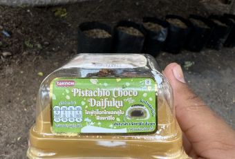 Restaurant Sola User Photo