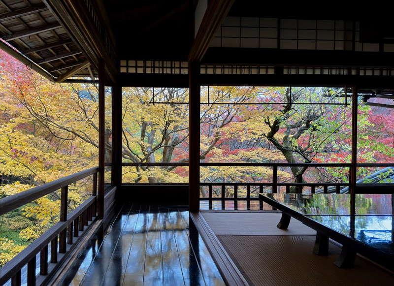 瑠璃光院用戶評價