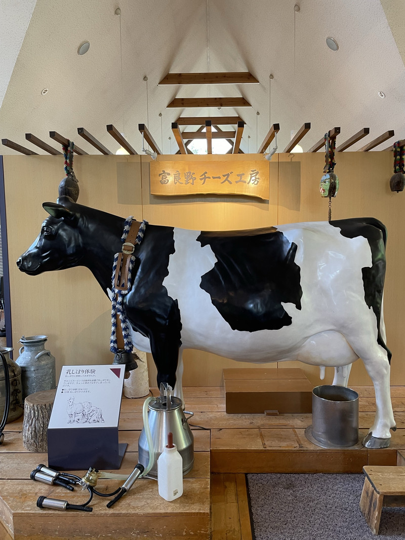รีวิวที่เที่ยวฟูราโนะ Furano Cheese Factory คู่มือท่องเที่ยวจาก