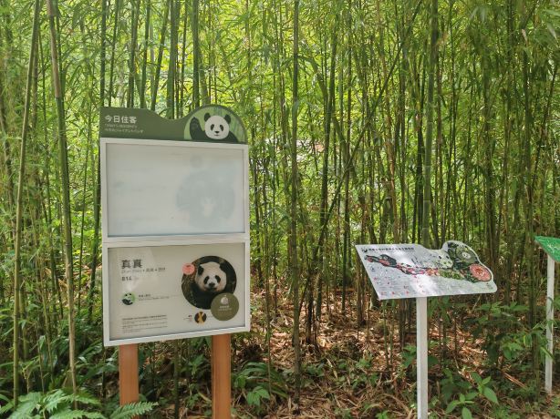 Panda Valley Tickets [2026] - Promos, Prices, Reviews & Opening