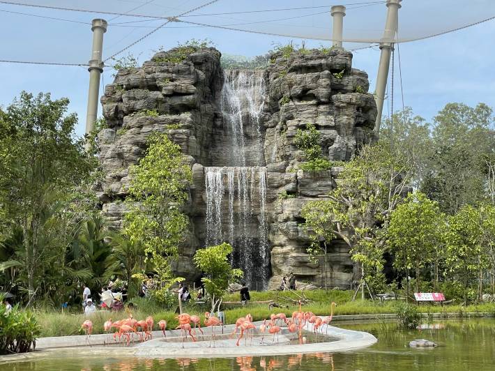 Bird Paradise Overview