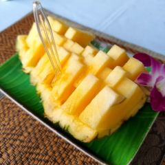 Motherhouse Bar and Restaurant 여행 사진