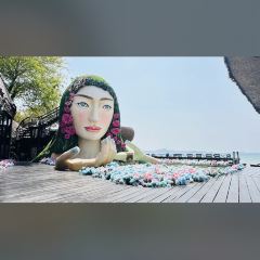 3 Mermaids張用戶圖片