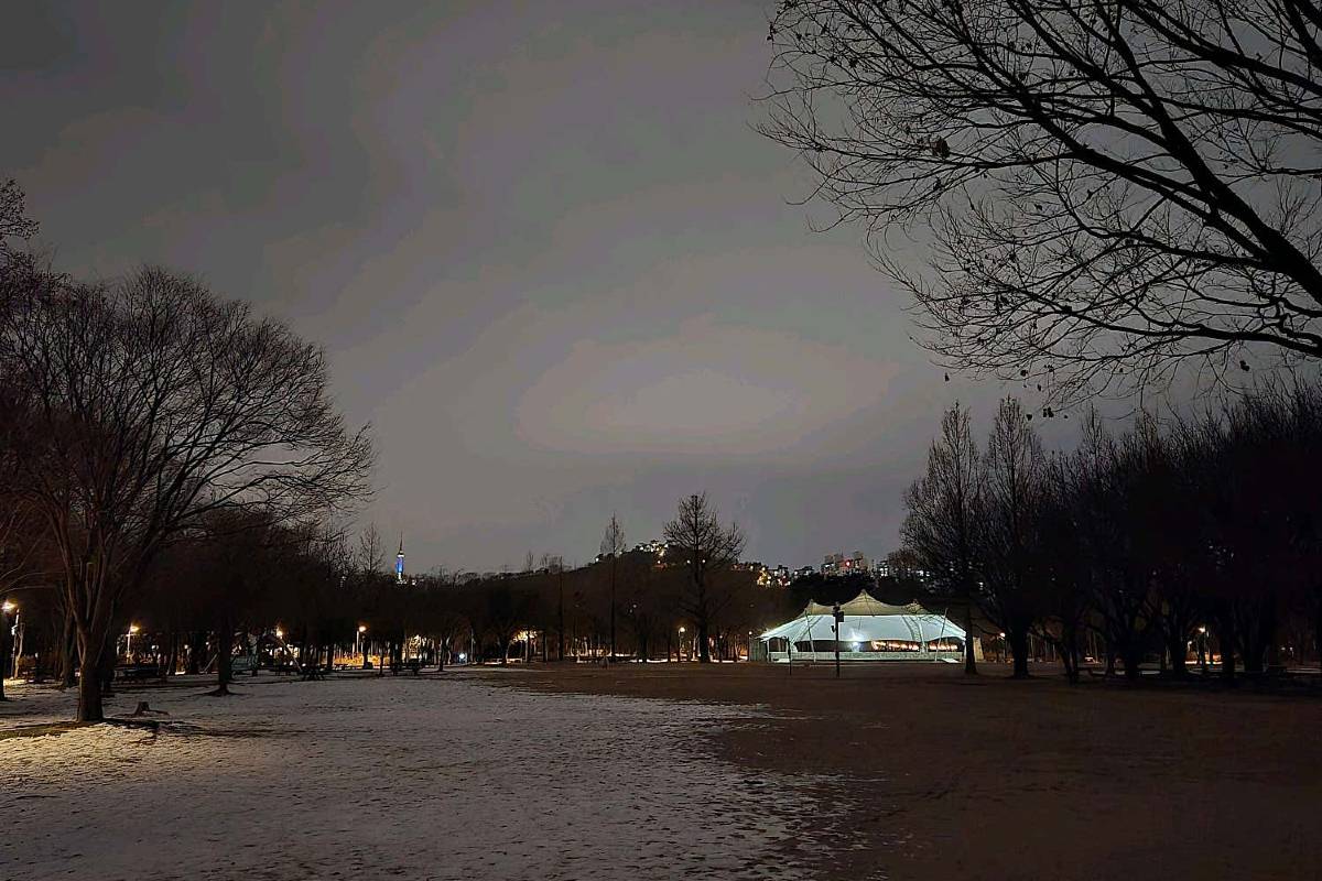 首爾林夏季:戶外音樂節與避暑