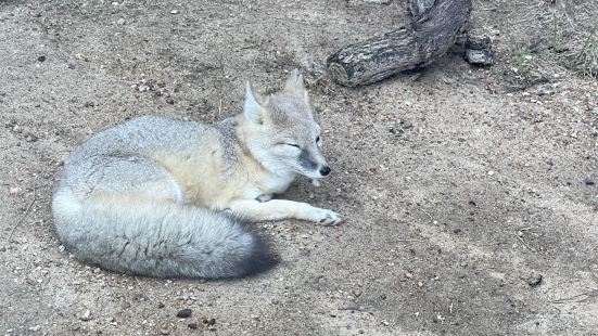 還算好玩的動物園，節日都有特別的活動讓小孩參與，可以晃一整天