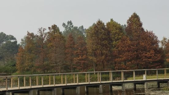 時隔十幾年再去濕地公園 🙈。其實多就唔算太多，整個園區只有