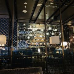 Bar Trigona User Photo