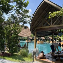 Bubble in the Forest Cafe張用戶圖片