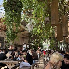 PENNY LANE User Photo