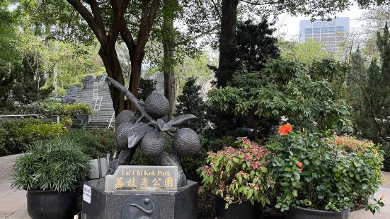 本港有許多公園均有中式建築特色，小橋流水、亭台樓閣，詩情畫意