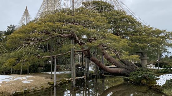 金沢駅からバスで兼六園へ。21世紀美術館からはとても近いです